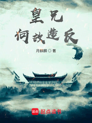Bìa truyện Hoàng Huynh Hà Cố Tạo Phản (皇兄何故造反？)
