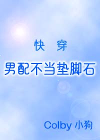 Bìa truyện Nam Phối Bất Đương Điếm Cước Thạch Khoái Xuyên (男配不当垫脚石（快穿）)