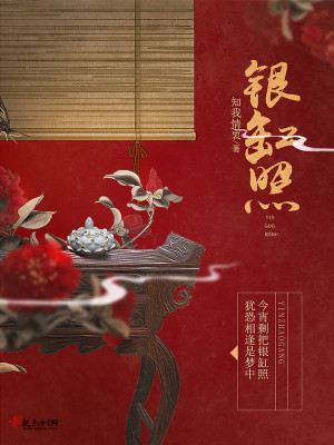 Bìa truyện Ngân Hàng Chiếu (银缸照)