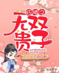 Bìa truyện Hồng Lâu Chi Vô Song Quý Tử (红楼之无双贵子)
