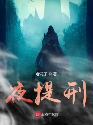 Bìa truyện Dạ Đề Hình (夜提刑)