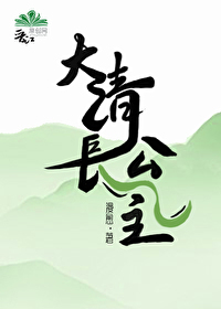 Bìa truyện Đại Thanh Trường Công Chủ (大清长公主)