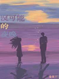 Bìa truyện Một Khả Năng Đích Dạ Vãn (没可能的夜晚)