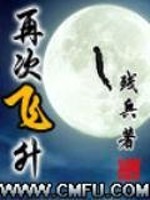 Bìa truyện Tái Thứ Phi Thăng (再次飞升)