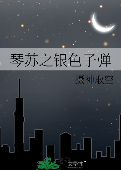 Bìa truyện Cầm Tô Chi Ngân Sắc Tử Đạn (琴苏之银色子弹)