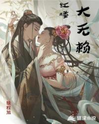 Bìa truyện Hồng Lâu Đại Vô Lại (红楼大无赖)