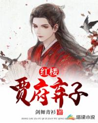 Bìa truyện Hồng Lâu Chi Giả Phủ Khí Tử (红楼之贾府弃子)