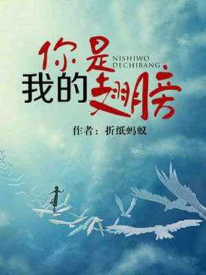 Bìa truyện Nhĩ Thị Ngã Đích Sí Bàng (你是我的翅膀)