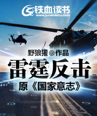 Bìa truyện Lôi Đình Phản Kích Nguyên Quốc Gia Ý Chí (雷霆反击（原《国家意志》）)
