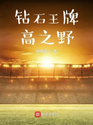 Bìa truyện Toản Thạch Vương Bài Cao Chi Dã (钻石王牌高之野)