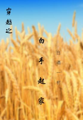 Bìa truyện Xuyên Việt Chi Bạch Thủ Khởi Gia (穿越之白手起家)