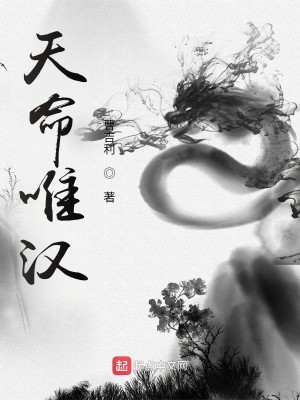 Bìa truyện Thiên Mệnh Duy Hán (天命唯汉)