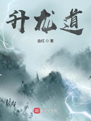 Bìa truyện Thăng Long Đạo (升龙道)