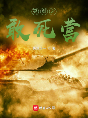 Bìa truyện Lượng Kiếm Chi Cảm Tử Doanh (亮剑之敢死营)