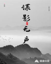 Bìa truyện Điệp Ảnh Vô Thanh (谍影无声)