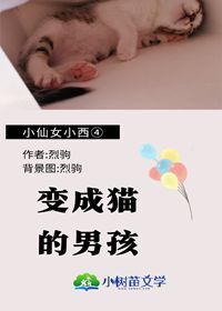 Bìa truyện Tiểu Tiên Nữ Tiểu Tây ④ Biến Thành Miêu Đích Nam Hài (【小仙女小西④】变成猫的男孩)