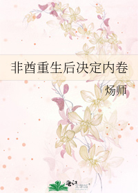 Bìa truyện Phi Tù Trọng Sinh Hậu Quyết Định Nội Quyển (非酋重生后决定内卷)
