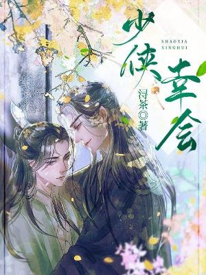 Bìa truyện Thiếu Hiệp Hạnh Hội (少侠幸会)