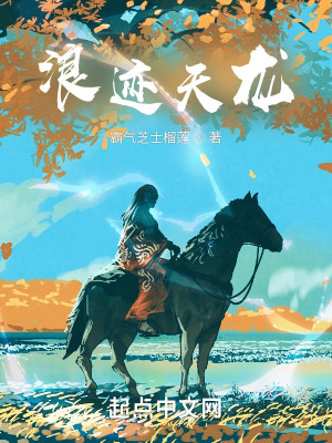 Bìa truyện Lãng Tích Thiên Long (浪迹天龙)