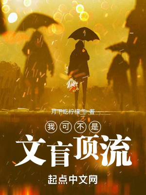 Bìa truyện Ngã Khả Bất Thị Văn Manh Đỉnh Lưu (我可不是文盲顶流)