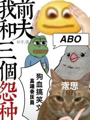 Bìa truyện Ngã Hòa Tam Cá Oán Chủng Tiền Phu (我和三个怨种前夫)