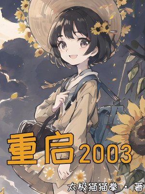 Bìa truyện Trọng Khải 2003 (重启2003)