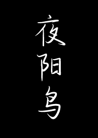 Bìa truyện Dạ Dương Điểu (夜阳鸟)
