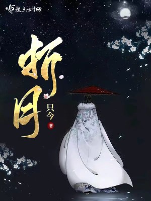 Bìa truyện Chiết Nguyệt (折月)