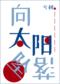 Bìa truyện Hướng Thái Dương Trụy Lạc (向太阳坠落)