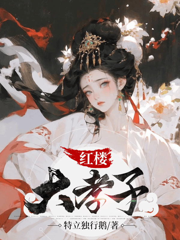 Bìa truyện Hồng Lâu Đại Hiếu Tử (红楼大孝子)