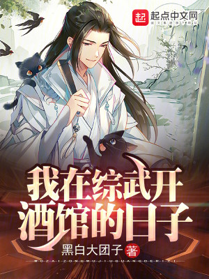 Bìa truyện Ngã Tại Tống Vũ Khai Tửu Quán Đích Nhật Tử (我在综武开酒馆的日子)