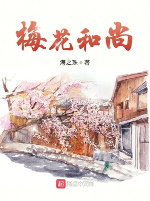 Bìa truyện Mai Hoa Hòa Thượng (梅花和尚)