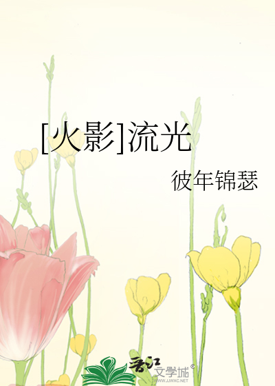 Bìa truyện Hỏa Ảnh Lưu Quang ([火影]流光)
