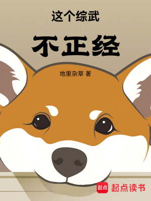 Bìa truyện Giá Cá Tống Vũ Bất Chính Kinh (这个综武不正经)