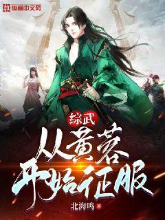 Bìa truyện Tống Vũ Tòng Hoàng Dung Khai Thủy Chinh Phục (综武：从黄蓉开始征服)