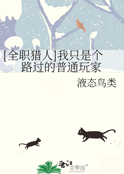 Bìa truyện Toàn Chức Liệp Nhân Ngã Chích Thị Cá Lộ Quá Đích Phổ Thông Ngoạn Gia ([全职猎人]我只是个路过的普通玩家)