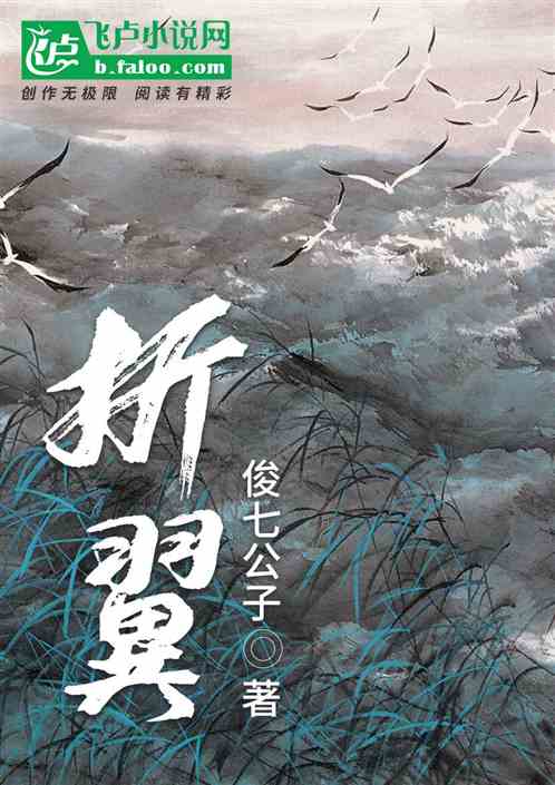 Bìa truyện Chiết Dực (折翼)