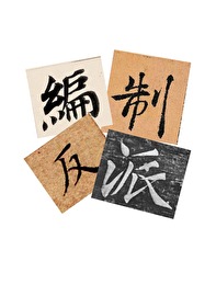 Bìa truyện Biên Chế Nội Phản Phái Hãm Nhập Cảnh Sát Tu La Trường Liễu (编制内反派，陷入警察修罗场了)