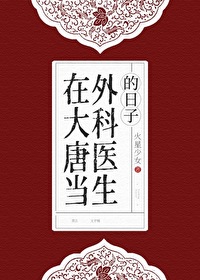 Bìa truyện Tại Đại Đường Đương Ngoại Khoa Y Sinh Đích Nhật Tử (在大唐当外科医生的日子)