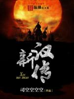 Bìa truyện Tân Hán Truyện (新汉传)
