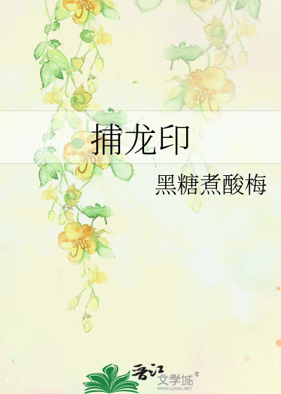 Bìa truyện Bộ Long Ấn (捕龙印)