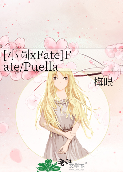 Bìa truyện Tiểu Viên Xfate Fate Puella Magi ([小圆xFate]Fate/Puella Magi)