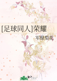 Bìa truyện Túc Cầu Đồng Nhân Vinh Diệu ([足球同人]荣耀)