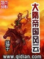 Bìa truyện Đại Tùy Đế Quốc Phong Vân (大隋帝国风云)