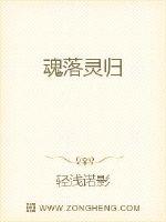 Bìa truyện Hồn Lạc Linh Quy (魂落灵归)