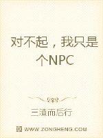 Bìa truyện Đối Bất Khởi Ngã Chích Thị Cá Npc (对不起我只是个NPC)