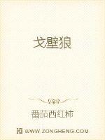 Bìa truyện Qua Bích Lang (戈壁狼)