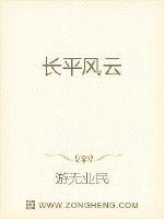 Bìa truyện Trường Bình Phong Vân (长平风云)
