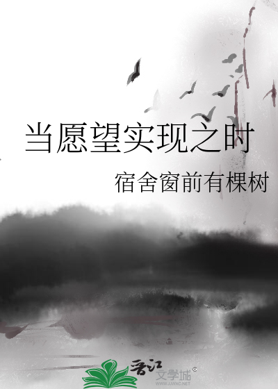 Bìa truyện Đương Nguyện Vọng Thực Hiện Chi Thời (当愿望实现之时)