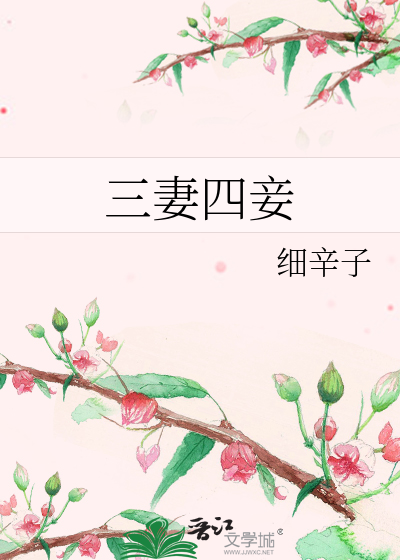 Bìa truyện Tam Thê Tứ Thiếp (三妻四妾)
